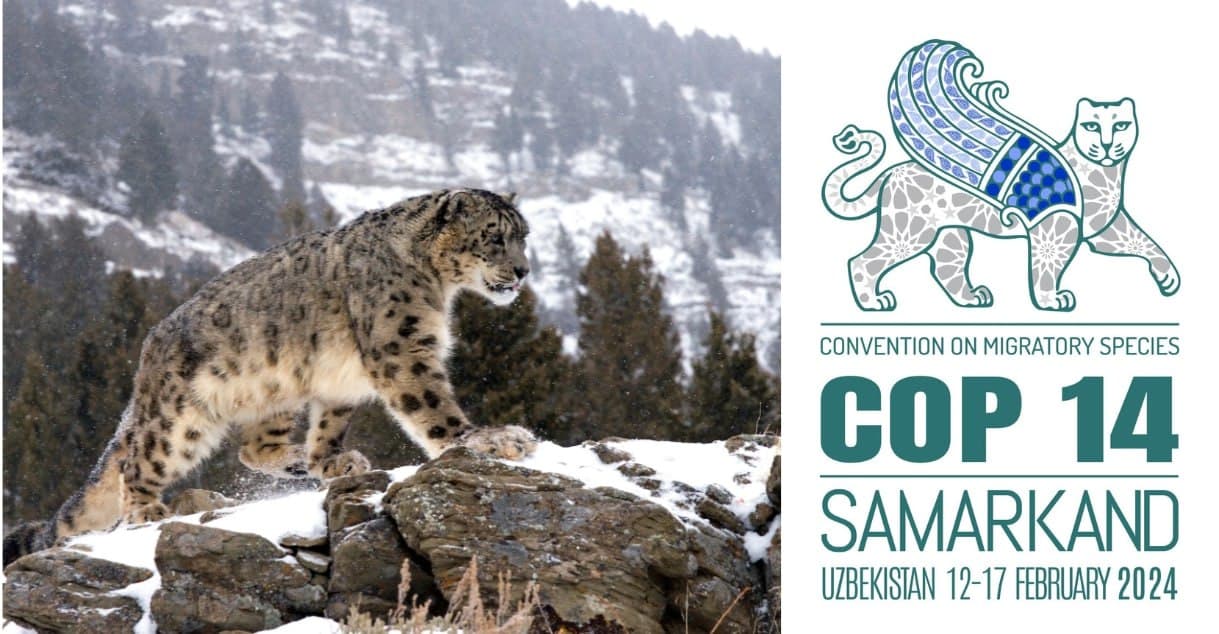 14-ое заседание Конференции Сторон Конвенции CMS COP14