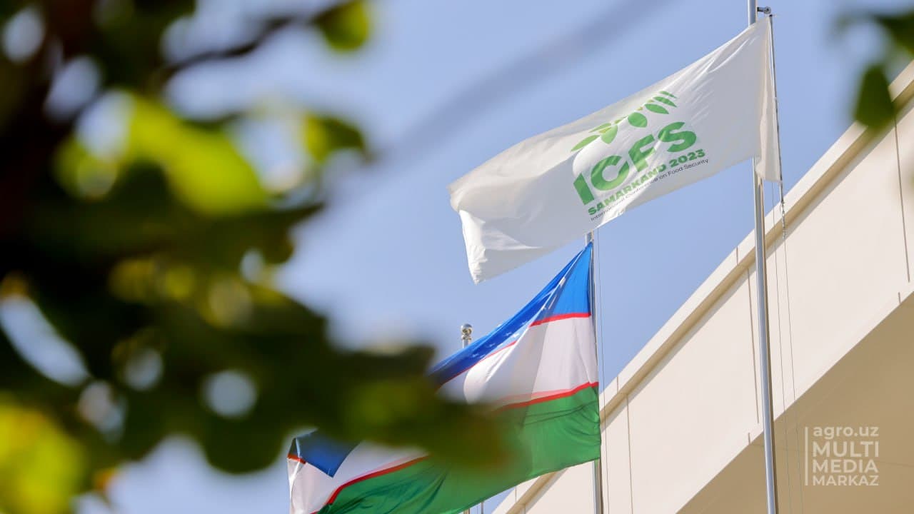 Процесс подготовки к международной конференции высокого уровня