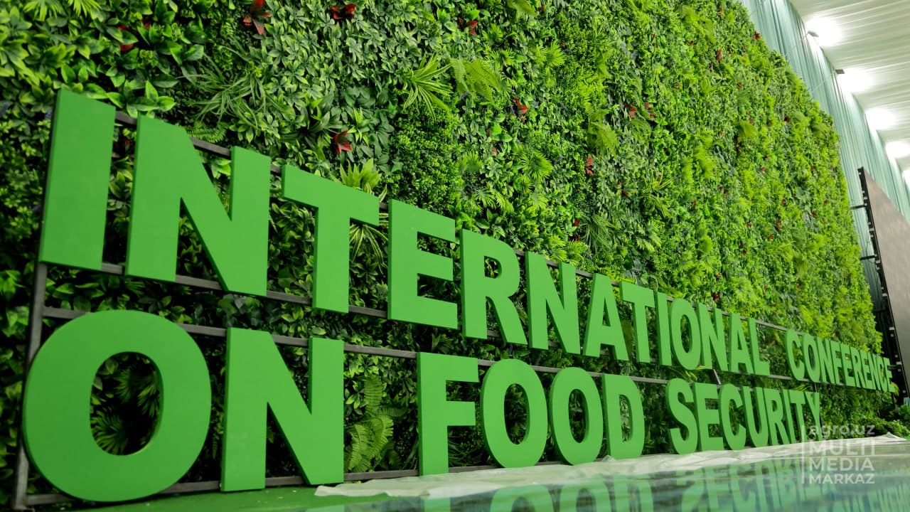 Процесс подготовки к международной конференции высокого уровня