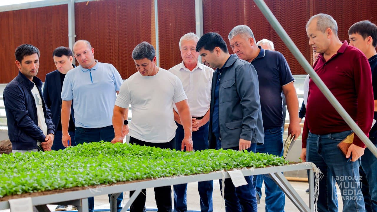 Министр сельского хозяйства в Кашкадарье