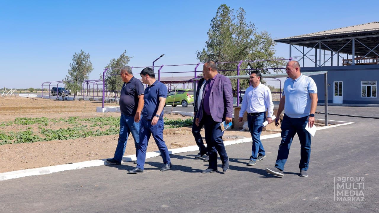 Министр сельского хозяйства в Кашкадарье
